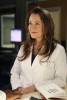 Photos Promotionnelles 510 - Grey's Anatomy